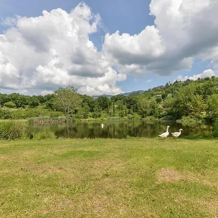 28- Cantele House In Tuscany - Feste&sagre - Relax E Sport *