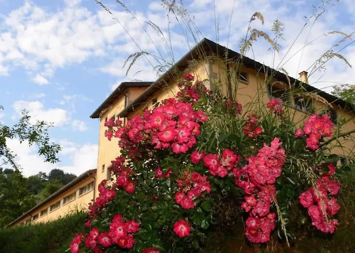 28- Cantele House In Tuscany - Feste&sagre - Relax E Sport カステル・デル・ピアーノ